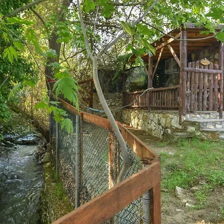 Pavel'in Yeri Butik Altinoluk
